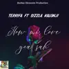 Terrifa & Sizzla - How Mi Love You Suh - Single